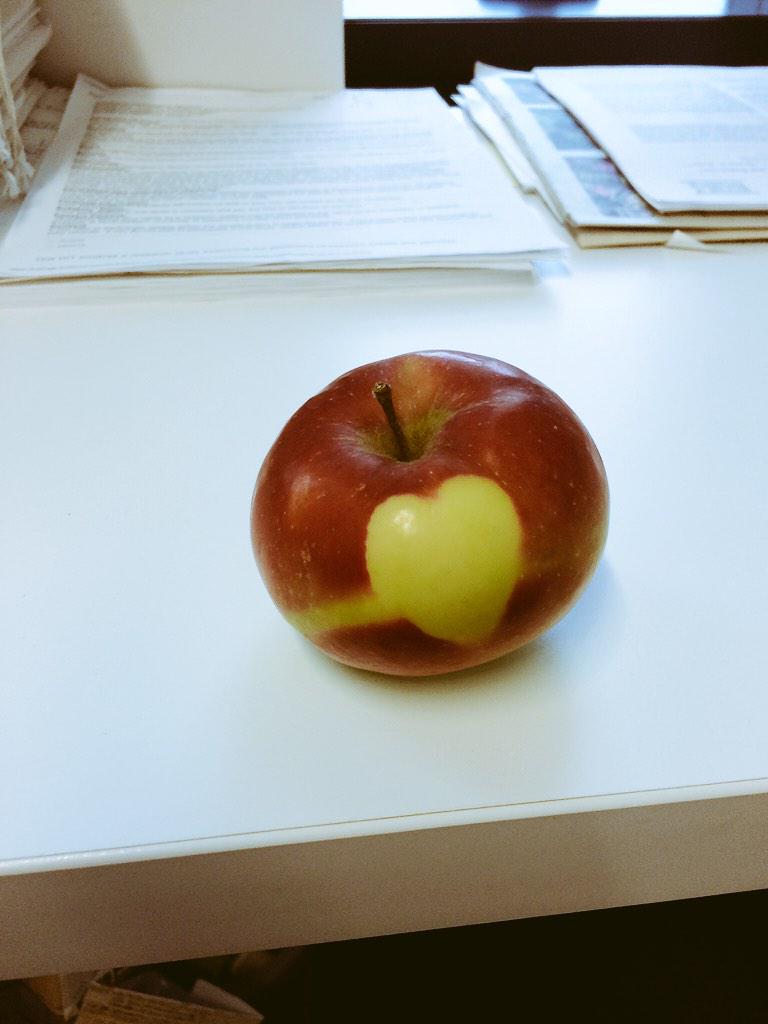 katydec's tweet image. Study compassion, see compassion #selectiveperception #love