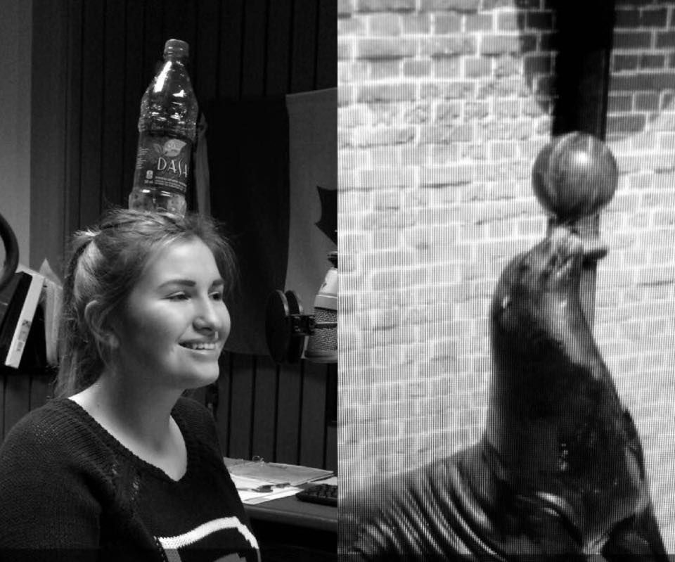 evolution1079's tweet image. I'm not just a pretty face. I'm also a seal. #FirstShowBack @bklyndrdgr