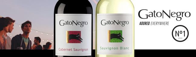 VSPTWineGroup's tweet photo. GatoNegro of @SanPedroWines is the bestselling wine in Finland in 2014 with its Cabernet Sauvignon &amp; Sauvignon Blanc! http://t.co/YX2gsZbVod