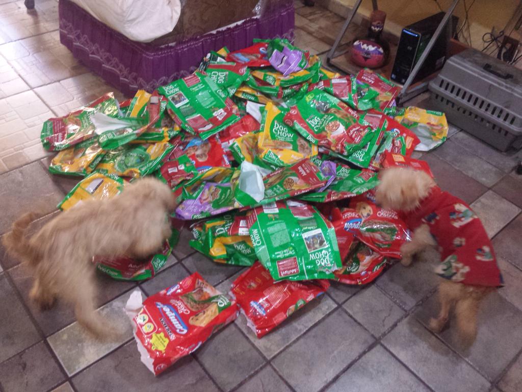 PradoSyp1's tweet photo. DE NUEVO MIL GRACIAS A @DefensaAnimal MIS PELUDOS FELICES DE COMER DOG CHOW. 
SILVIA YAÑEZ PRADO 5510487319 http://t.co/PEZ3Z95z18