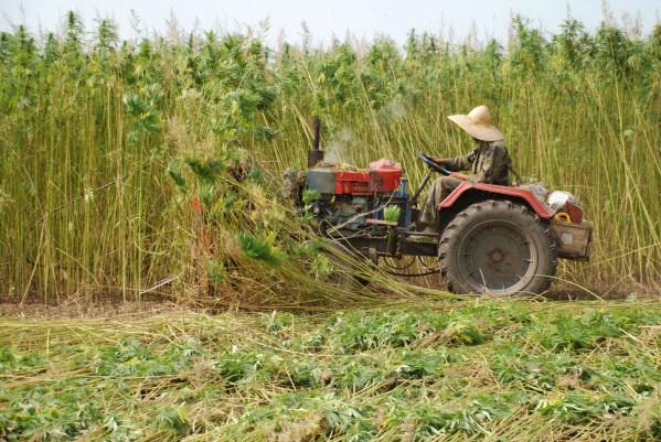 ThinkTankExile's tweet photo. New Mexico Lawmakers Aim To Legalize #Hemp in 2015 http://t.co/4acXZRbjL1 http://t.co/pph6v7t6Js
