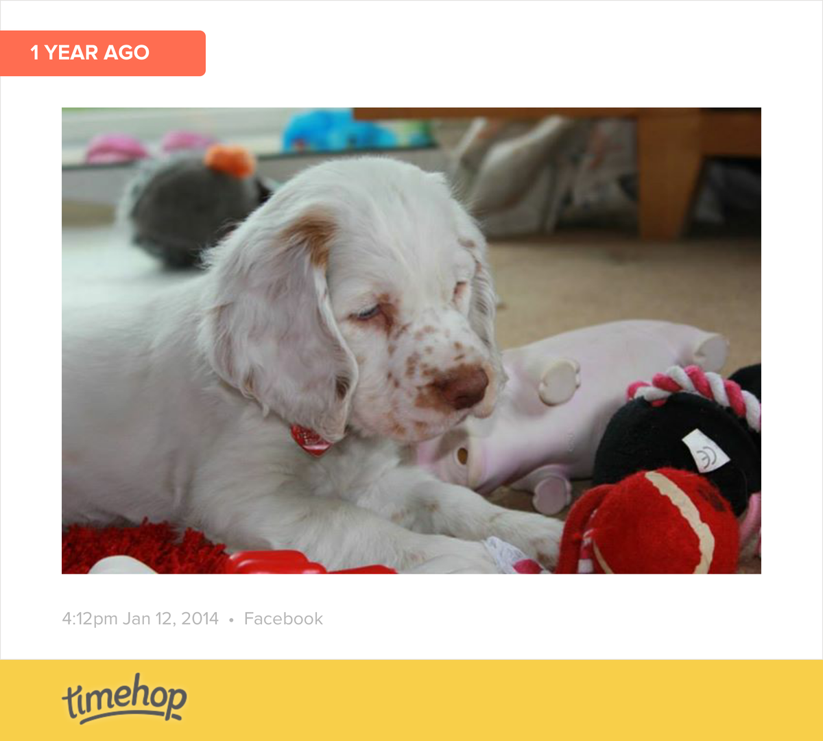 wrightjames2410's tweet photo. I don't know where the time goes! can't believe this was a year ago already http://t.co/JAQktuV6De http://t.co/DeMmrRX4x6