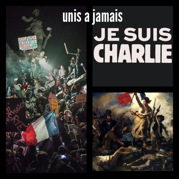 mart1deville's tweet photo. #JeSuisCharlie #JeSuisPolicier #jesuisfrancais nous sommes unis à jamais http://t.co/8nIGmlu4q7