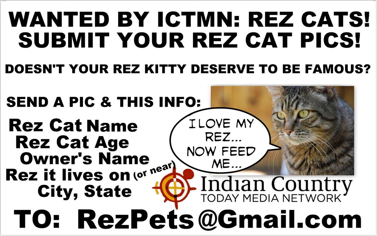 IndianCountry's tweet image. ATTN: #REZCAT OWNERS! @IndianCountry WANTS YOUR CAT PICS! Email to @VinceSchilling REZPETS@GMAIL.COM