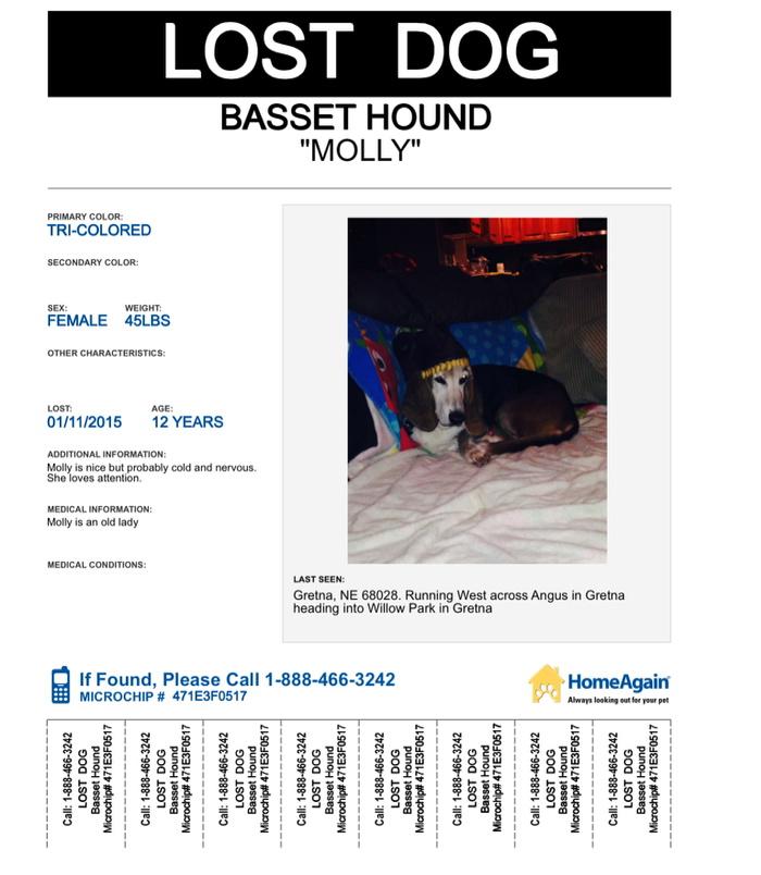 nebraskapets's tweet photo. Lost Dog Alert! #gretna #omaha Nebraska #omahalostpet #omahalostdog #nebraskapets @NEHumaneSociety #gretnapets #lost http://t.co/8JBiql13kw