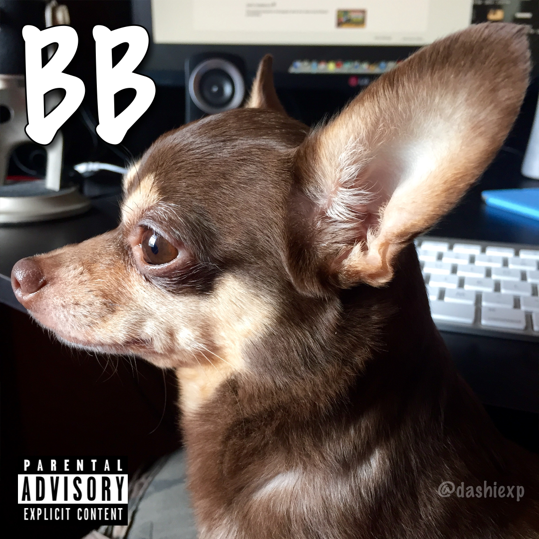 DashieXP's tweet photo. on a lighter note, my dogs mixtape drops June 4027 http://t.co/nG7S6tIfD8