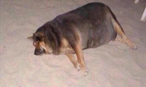 TheColIegeLife's tweet photo. Friends: "let's start working out for spring break" 

Me: http://t.co/xsUE1NGxxB