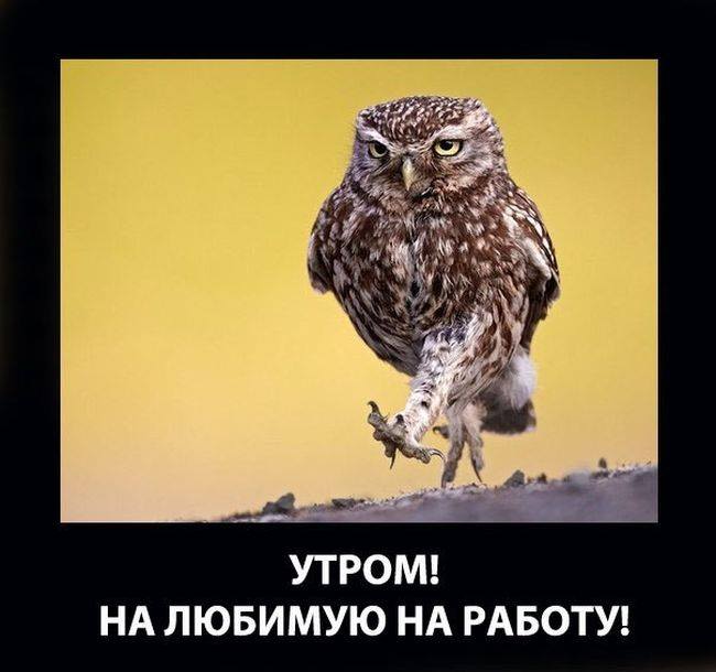 Вторник. 13. Сегодня все так? )))