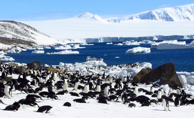 DuncanRMCameron's tweet photo. "@BBC_Travel: Should tourists be banned from Antarctica? http://t.co/9llAVFDRQ6 #BBCinbrief @BBCNewsMagazine http://t.co/Gq6GpETZgR"