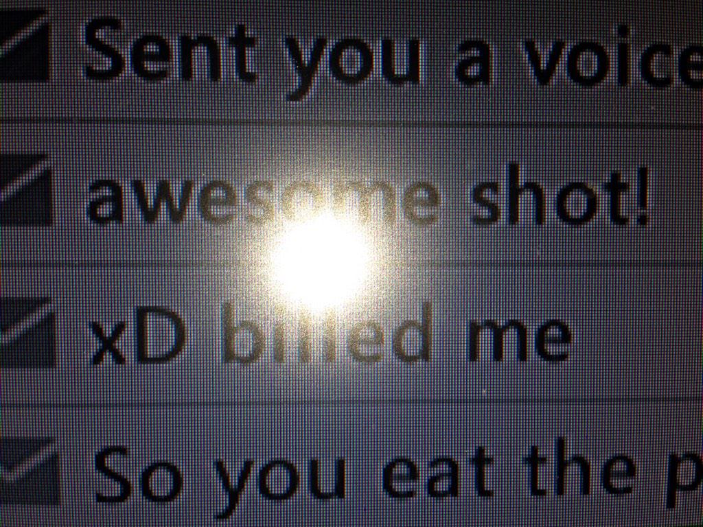 Cats | Multi Cod tweet media
