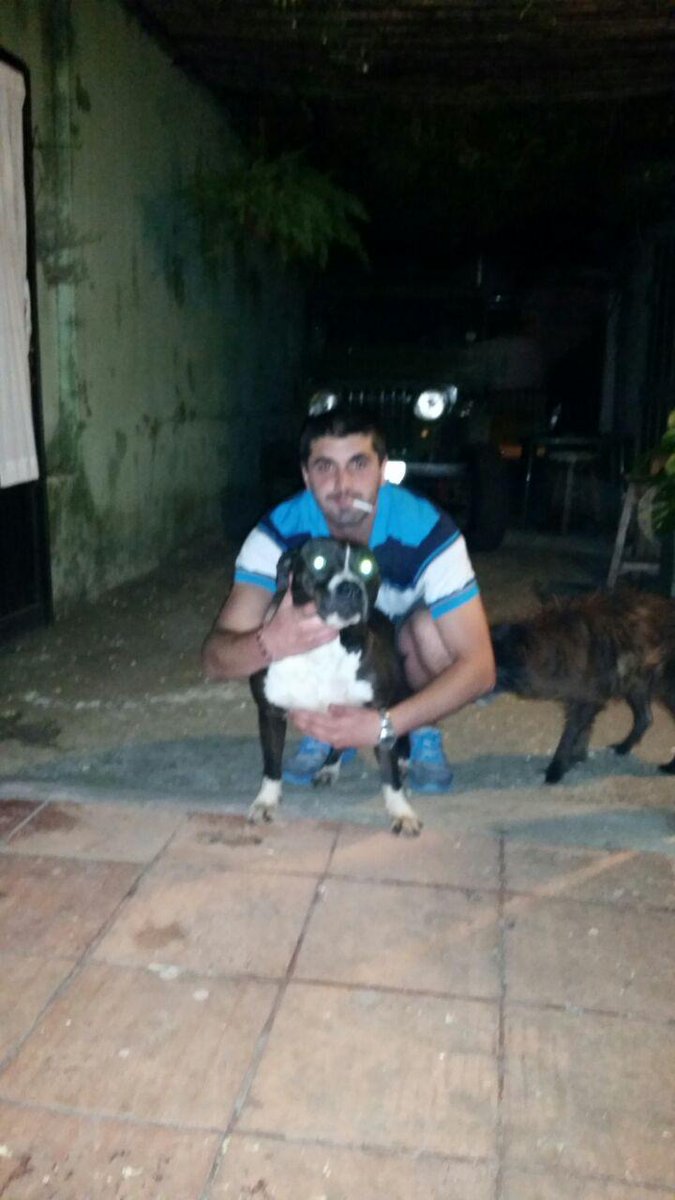 agumm04 tweet picture