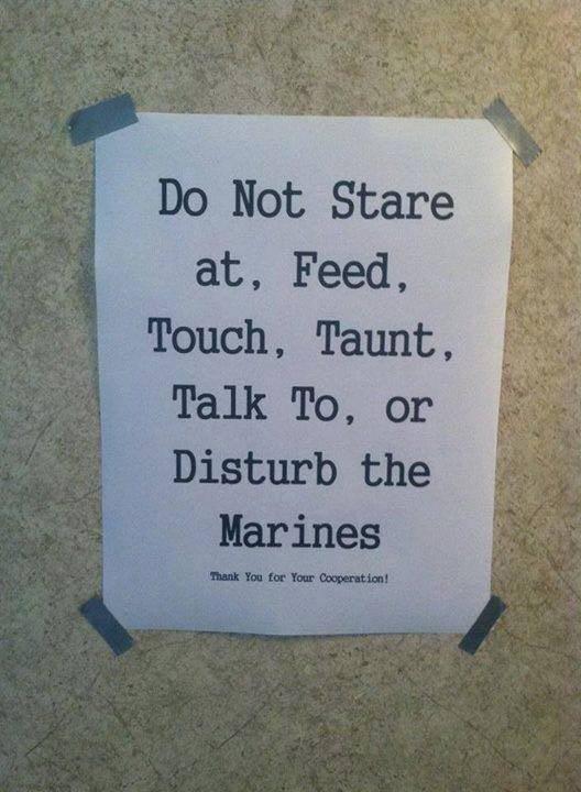 BasicMilitary's tweet image. #BasicMilitaryProblems #Marines