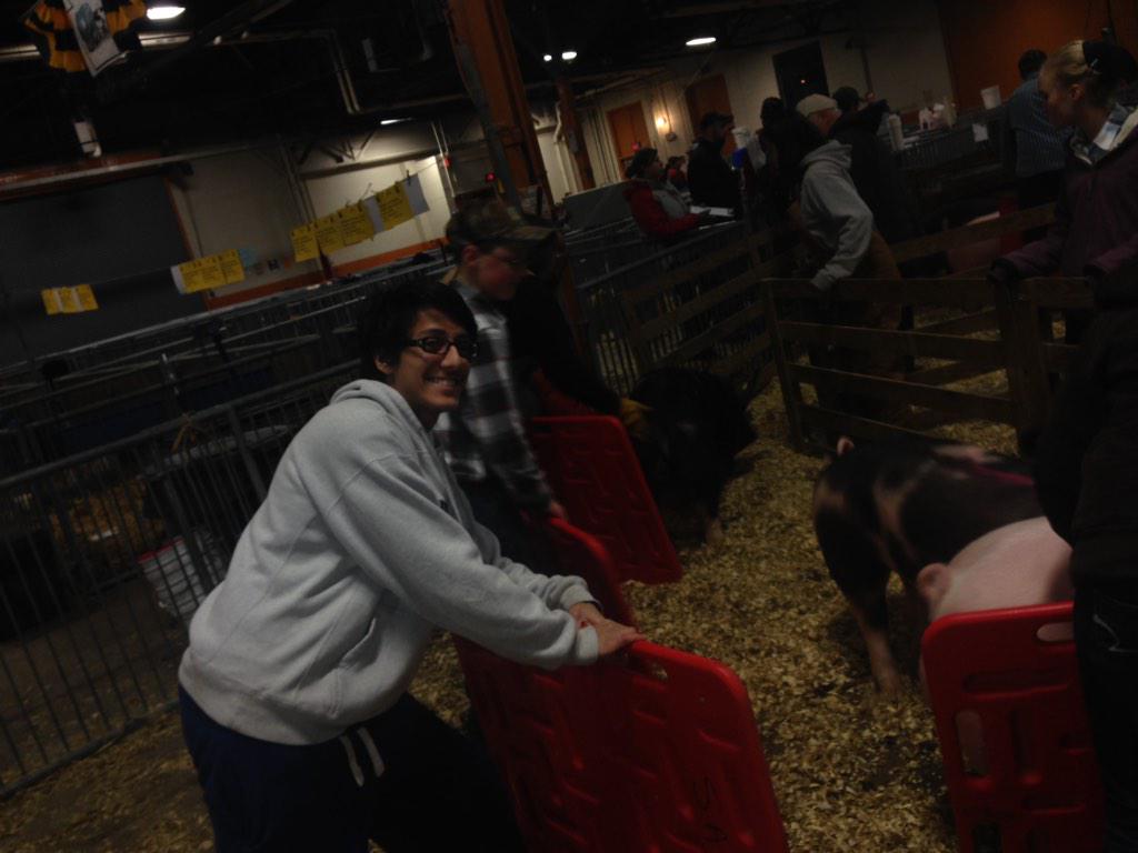 DavidRuvarac's tweet photo. Moving pigs that didn't make sale. #wbsaulhs #todaysffa http://t.co/aVD2P8bvHo