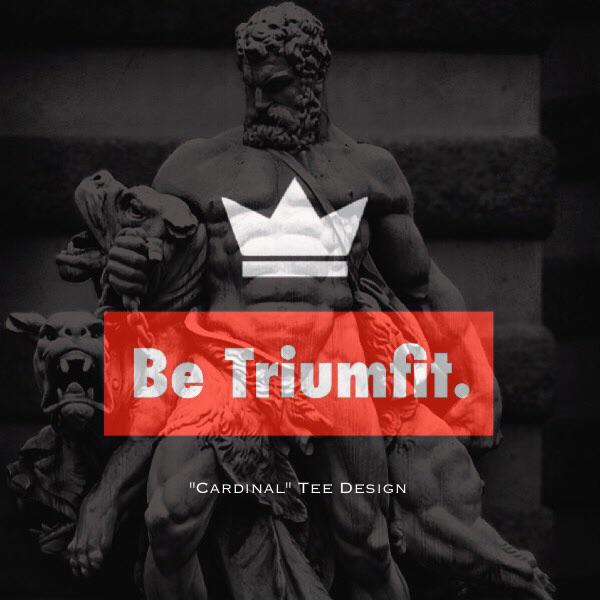 0xatl's tweet image. ||| #HighQualitySimplicity #FitForSuccess
Being TriumFit is a combination of positive physical and mental health..