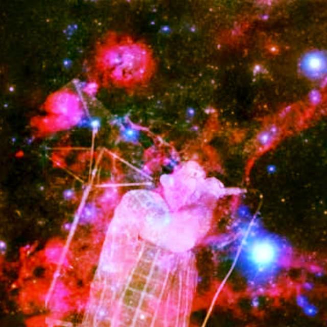 JosefinaLosa's tweet photo. #sindread #sindread  #lacasona  #panama #space #universe http://t.co/59wfUg8fsl