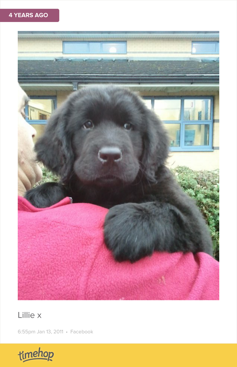 nataliebuck88's tweet photo. Look how small Lillie is here!!  http://t.co/iSzCo04rQW http://t.co/wLHL7gwjyh