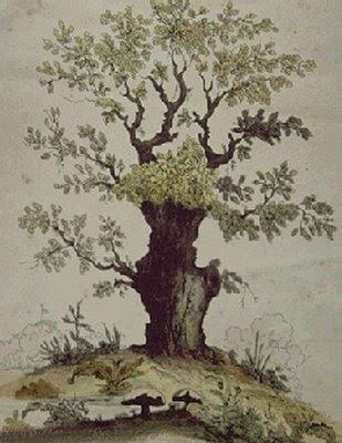 illusions (@illusionxs) on Twitter photo 