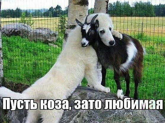 вера (@verunya3009) on Twitter photo 