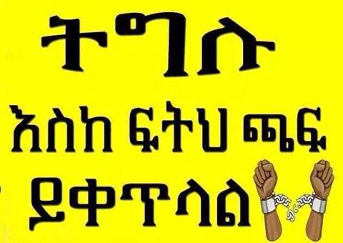 MiftahNeima's tweet photo. http://t.co/gDSmdubu6L