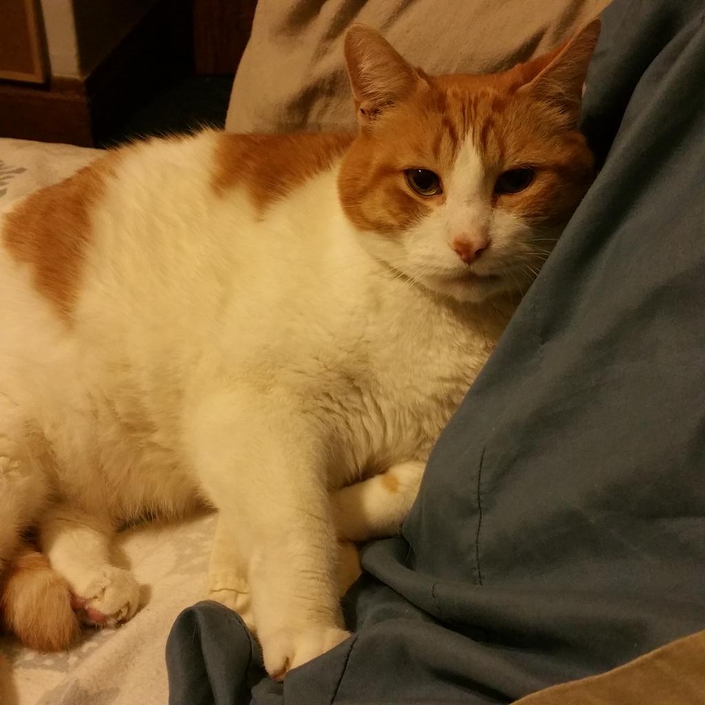 Keerarae tweet media