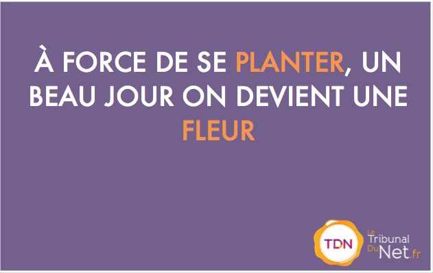 Letribunaldunet's tweet photo. #fleur #erreurs #leçons http://t.co/aYsukSfytv