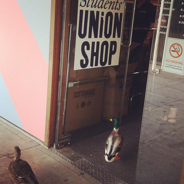 UniofNottingham's tweet photo. The @UONSU Shops are open until 10pm Monday-Friday. (Pic: timmunene via Instagram) http://t.co/NcIakyWkLC