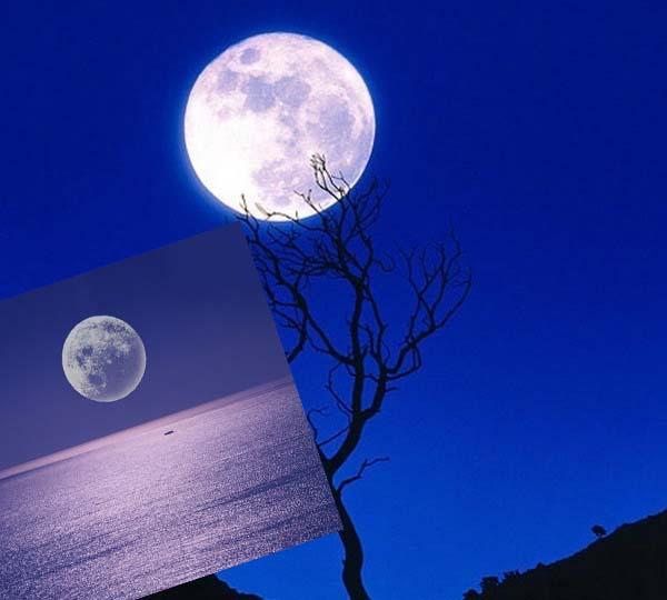 ☆가족 ☆

가족은 ` 시계바늘 `이라고 생각한다.
같은 공간에 늘 있으면서 다른 곳을 보기도 하고, 함께하기도 하고, 기다리기도 하니까~
모두들 즐겁고  따뜻한 저녁이 되길 ~