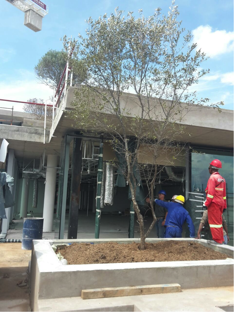 Slowly but surely, Illovo Edge is coming together.