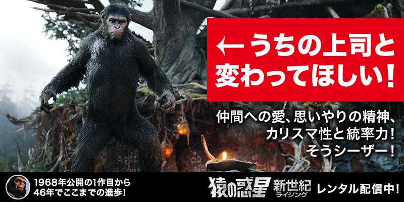 猿の惑星 聖戦記 グレート ウォー On Twitter はぁ こんなバカ上司なら 猿の方がマシだ と思っているそこのあなたは必見 猿の世界には優秀なリーダーがいるんです レンタル配信はこちらから Http T Co Iiqclqbddx Http T Co Lsvbo30mlx Twitter