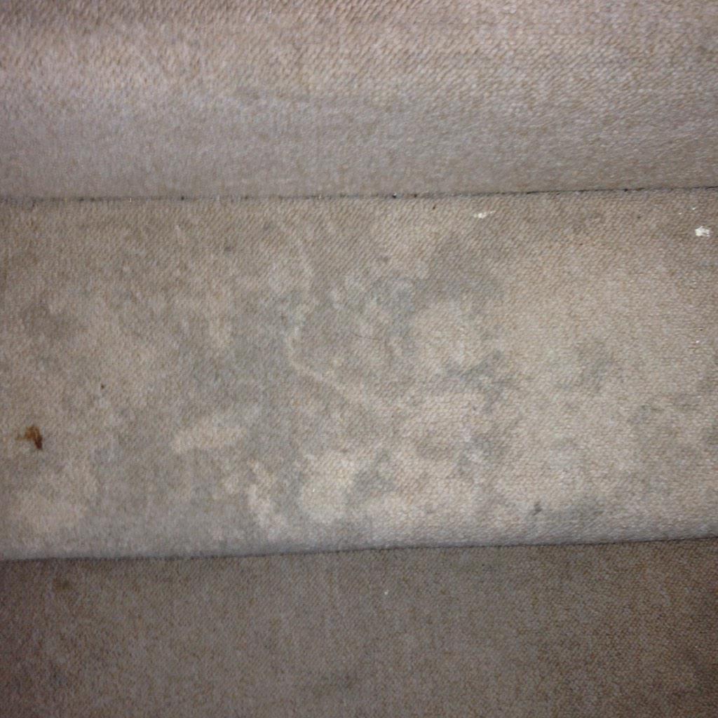 UTRcleaningltd's tweet photo. http://t.co/TMDsQAGkFY