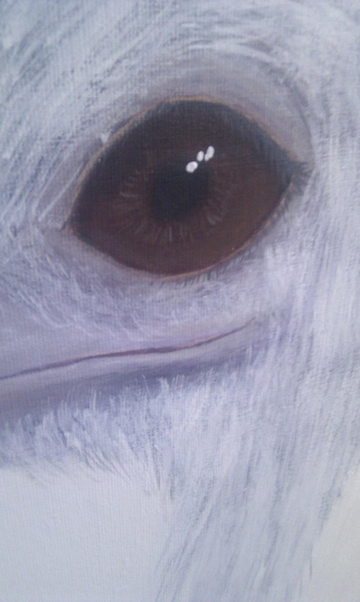 Vandaag de laatste hand aan de grote opdracht van <a href="/evelienkoekkoek/">Koekkoek</a>, ziehier een preview: