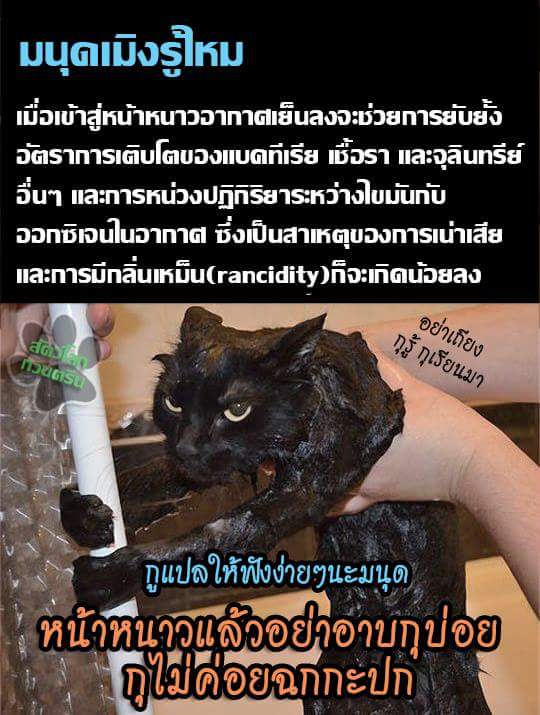 CH4I's tweet photo. http://t.co/AN32tq6CMD
