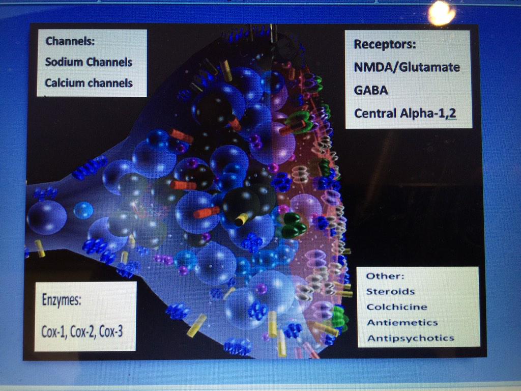 painfreeED's tweet photo. Come to our pain workshop at #AAEM15 and master concept of non-opioid targeted analgesia! #FOAMed #painworkshop http://t.co/5Tskbw7oY1