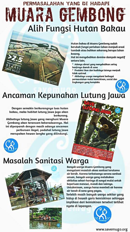 arief_pinus's tweet photo. Kenapa Harus Muara Gembong? Cc @PemkabBekasi @humas_kemenhut @Deddy_Mizwar_  @pemkotbekasi @savemugo @sheltercikarang http://t.co/7MdM91abow
