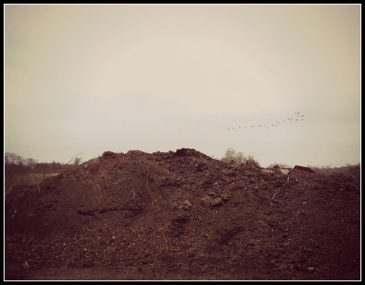 AquidneckFarms's tweet photo. Did you know AQF makes/sells Compost? #RI #Rhodeisland #compost #makingcompost #birds #aquidneckisland http://t.co/bWhgUuUOQD