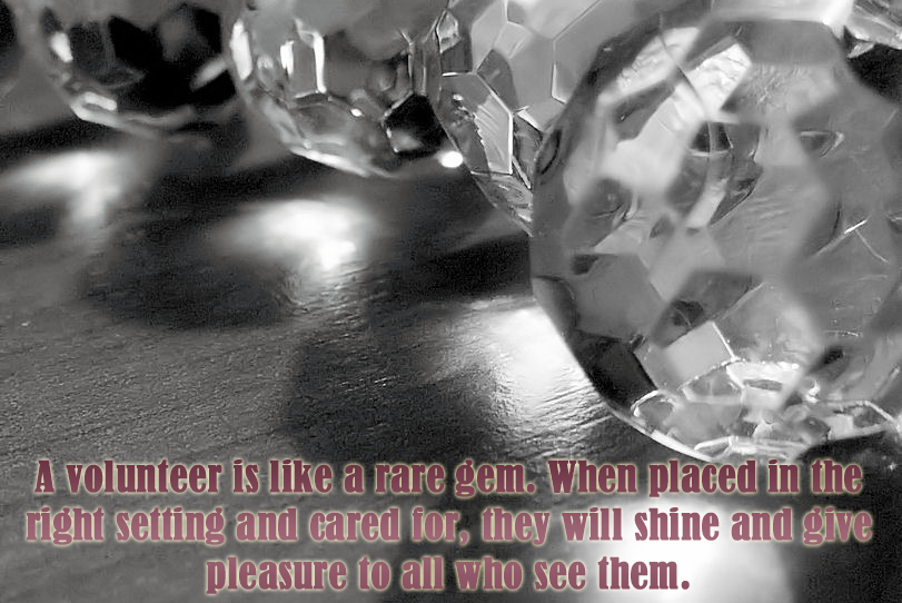 VolunteerCanada's tweet image. #Volunteer recognition should be year round, not just during special events! #saythanksoften