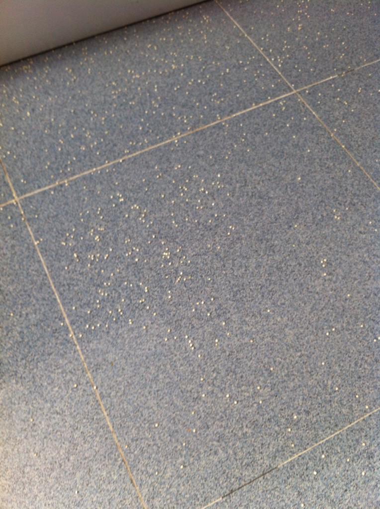 pherrero's tweet image. La he liado parda. Con lo cara que es la quinua podían ponerla un mejor envase