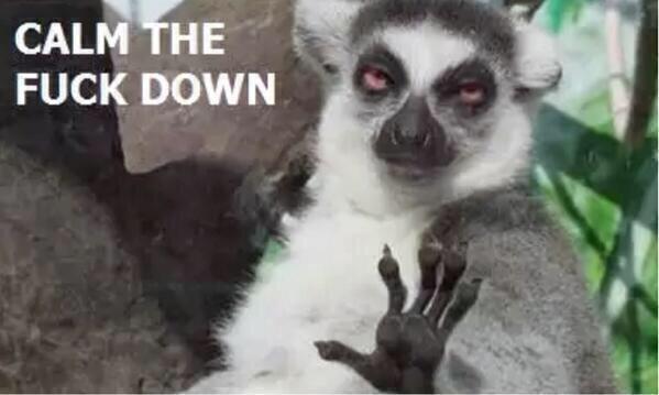 StumblerVideos's tweet photo. When someone makes a big deal out of nothing http://t.co/ancsZ2D85A