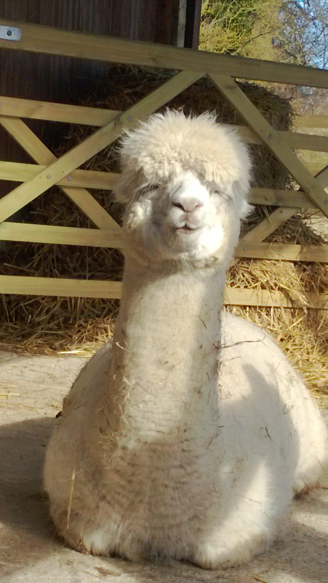 Reluctantly making decision as to who will be on the transfer list from PBA.