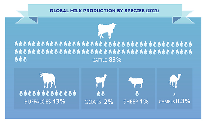Fao على تويتر Global Milk Production By Species See The Full