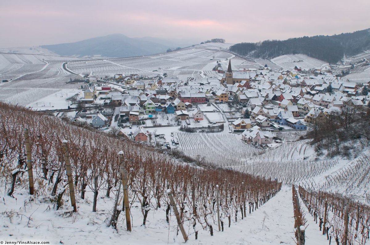 트위터의 Alsace 님 Portrait D Une Alsace Sous La Neige Http T Co Rhy2ovwy2b 트위터의 Alsace 님 Portrait D Une Alsace Sous La Neige Http T Co Rhy2ovwy2b