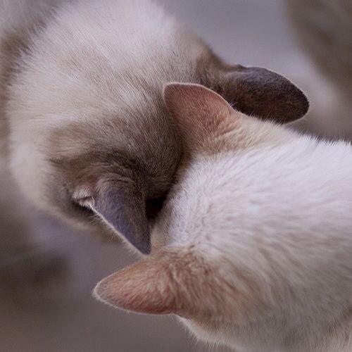 hug___me_'s tweet photo. 충전. 잘자요. http://t.co/0NCml5YiUU