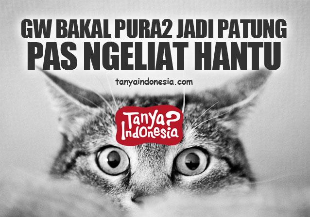 juraganjawab's tweet photo. Apa yg kamu lakukan kalo NGELIAT HANTU ?? >_<" share yu --> http://t.co/ecDdiSteDY #IniMentionSimi #lucu #serem http://t.co/WrAZkxGT1V