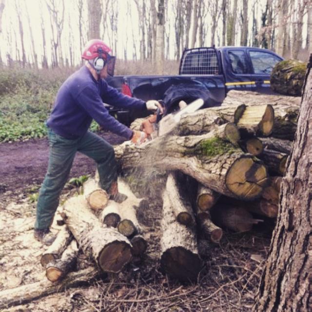 Parsonage_Farm's tweet image. Woodcutting today at @HestercombeGdns . Always good to stop at their cafe afterwards for cake and tea! #Woodburner