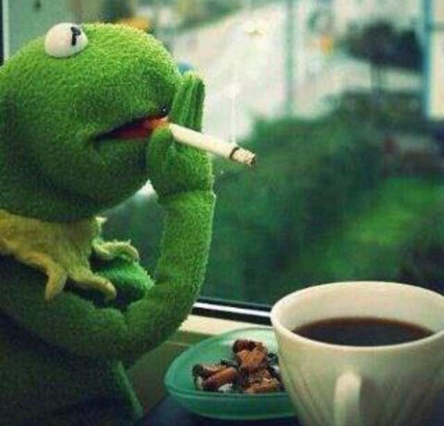 FridolinFrosch's tweet photo. ich finde das nicht gut, dass Kermit raucht! da riecht das Fell doch dann so komisch... http://t.co/5s3hQopWGI