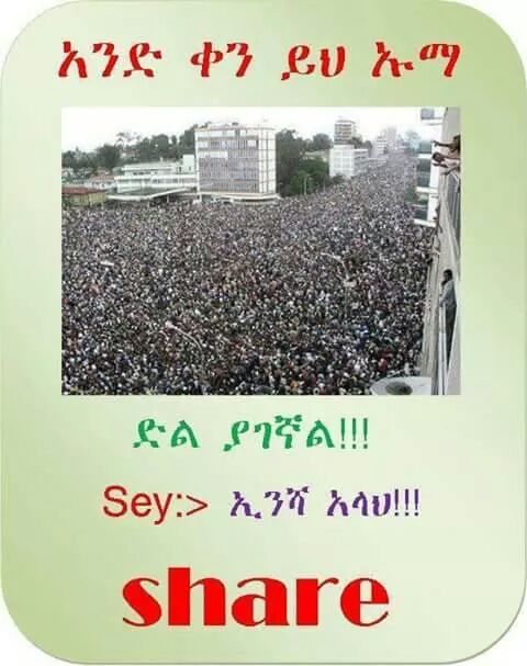 MiftahNeima's tweet photo. http://t.co/H6bT1ZtLIw