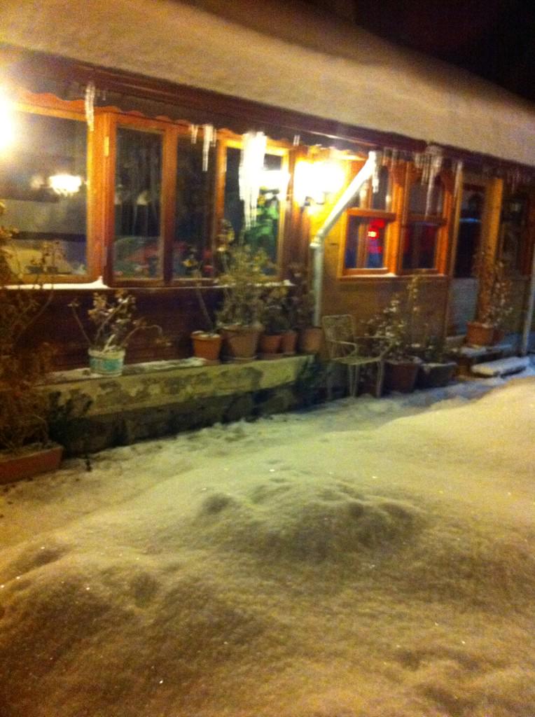 Selda Savuran (@savuranselda) on Twitter photo 