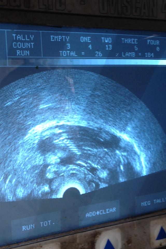 Hill Top Farm tweet media