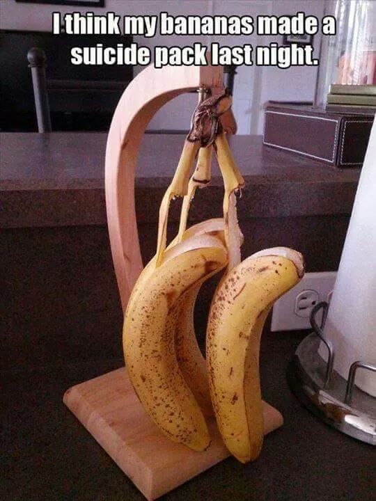 deniselynne1966's tweet image. @mcbridemelissa @wwwbigbaldhead #DontOptOut #MakeBreadInstead ~ #HappyTuesday :) ♡♡♡♡♡♡♡♡