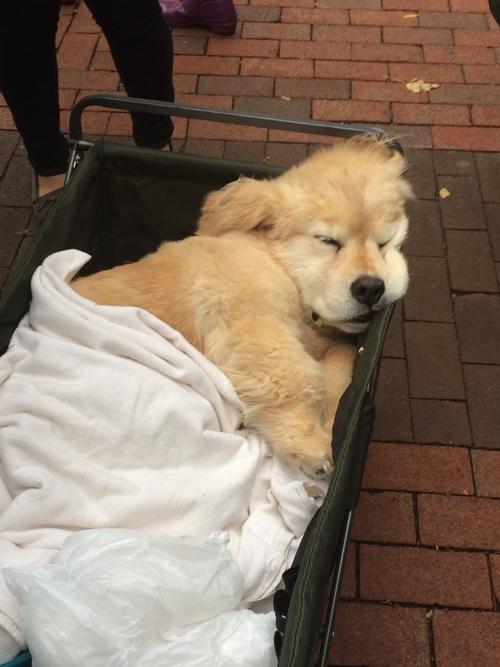 StumblerTop's tweet photo. Current mood http://t.co/6zX4B0OUrC